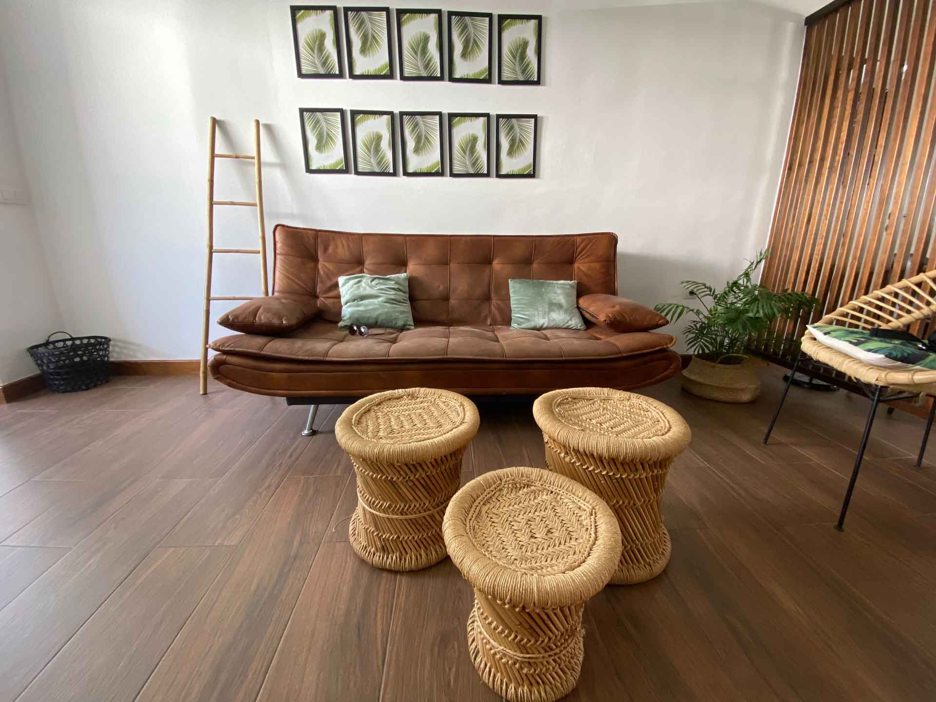 Living room with vinyl plank flooring